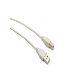 cap-usb-in-5m